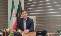 11.5 میلیون تن میوه های سردسیری و خشک در کشور تولید شد/ تحقق ۱۱۴ درصدی برنامه اصلاح، نوسازی و بازسازی باغ‌ها